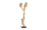 Phillips Collection Wood Sculpture Assorted Accent
