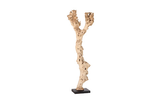 Phillips Collection Wood Sculpture Assorted Accent