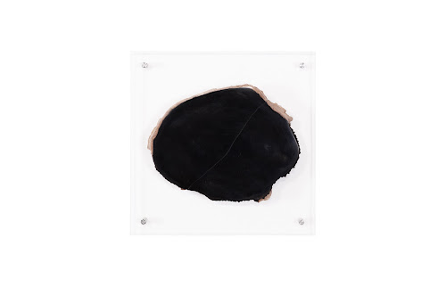 Phillips Collection Floating Petrified Slice Assorted Wall Art