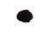 Phillips Collection Floating Petrified Slice Assorted Wall Art