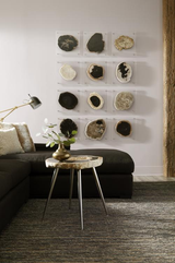 Phillips Collection Floating Petrified Slice Assorted Wall Art