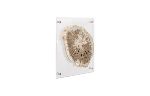Phillips Collection Floating Petrified Slice Assorted Wall Art