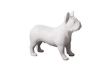 Phillips Collection French Bulldog Gel Coat White Accent