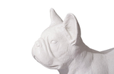 Phillips Collection French Bulldog Gel Coat White Accent