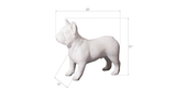 Phillips Collection French Bulldog Gel Coat White Accent