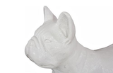 Phillips Collection French Bulldog Gel Coat White Accent