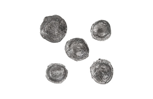 Phillips Collection Splash Wall Bowls Silver Leaf Set of 5 Accent