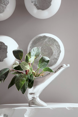 Phillips Collection Burled Silver Leaf Vase
