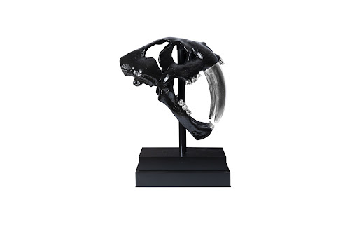 Phillips Collection Saber Tooth Tiger Skull Black Accent