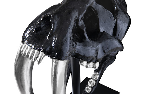 Phillips Collection Saber Tooth Tiger Skull Black Accent
