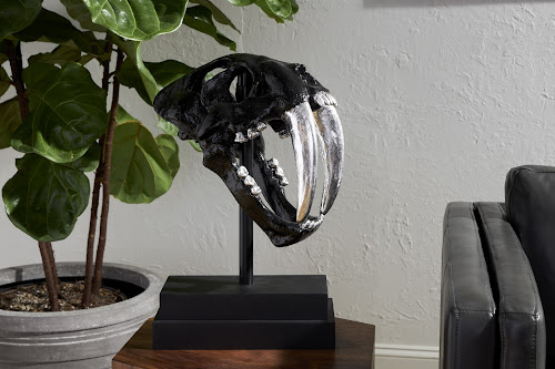 Phillips Collection Saber Tooth Tiger Skull Black Accent