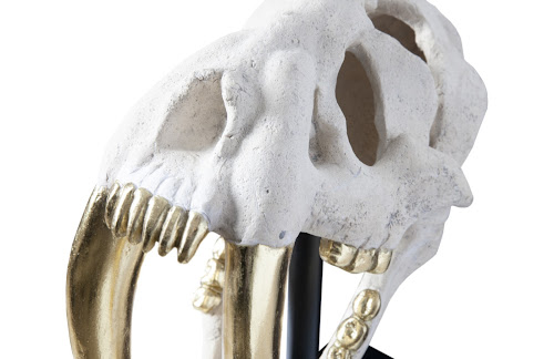 Phillips Collection Saber Tooth Tiger Skull Roman Stone Accent