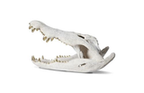 Phillips Collection Crocodile Skull Roman Stone Gold Leaf Accent