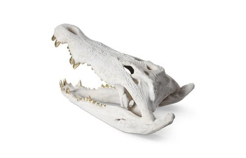 Phillips Collection Crocodile Skull Roman Stone Gold Leaf Accent