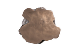 Phillips Collection Log Bronze Side Table
