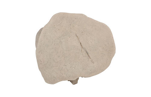 Phillips Collection Log Roman Stone LG Stool