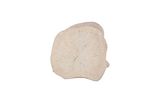 Phillips Collection Log Roman Stone SM Stool