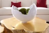 Phillips Collection Burled Glossy White Bowl