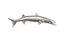 Phillips Collection Barracuda Fish Wall Sculpture Resin Silver Leaf Accent