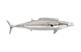 Phillips Collection Wahoo Fish Silver Leaf Accent