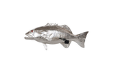Phillips Collection Coral Trout Fish Wall Sculpture Resin Silver Leaf Accent