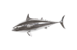Phillips Collection Mackerel Fish Wall Sculpture Resin Silver Leaf Accent