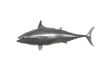 Phillips Collection Mackerel Fish Wall Sculpture Resin Polished Aluminum Finish Accent
