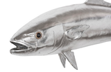 Phillips Collection Yellow Tailed King Fish Wall Sculpture Resin Silver Leaf Accent
