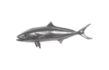 Phillips Collection Yellow Tailed King Fish Wall Sculpture Resin Polished Aluminum Finish Accent