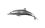 Phillips Collection Dolphin Polished Aluminum Accent