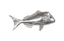 Phillips Collection Australian Snapper Fish Wall Sculpture Resin Silver Leaf Accent