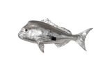 Phillips Collection Australian Snapper Fish Wall Sculpture Resin Silver Leaf Accent