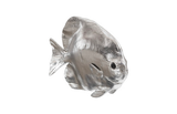 Phillips Collection Australian Bat Fish Wall Sculpture Resin Silver Leaf Accent