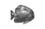 Phillips Collection Australian Bat Fish Wall Sculpture Resin Polished Aluminum Finish Accent