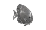 Phillips Collection Australian Bat Fish Wall Sculpture Resin Polished Aluminum Finish Accent