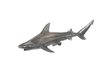 Phillips Collection Black Tip Reef Shark Polished Aluminum Accent