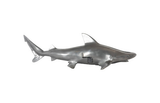 Phillips Collection Black Tip Reef Shark Polished Aluminum Accent