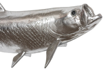 Phillips Collection Tarpon Fish Wall Sculpture Resin Silver Leaf Accent