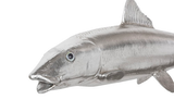 Phillips Collection Bonefish Wall Sculpture Resin Silver Leaf Accent