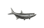 Phillips Collection Tarpon Fish Aluminum Accent