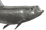 Phillips Collection Tarpon Fish Aluminum Accent