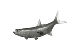 Phillips Collection Tarpon Fish Aluminum Accent