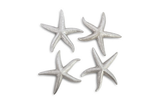 Phillips Collection Starfish Silver Leaf Set of 4 MD Accent