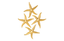 Phillips Collection Starfish Gold Leaf Set of 4 LG Accent