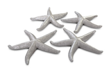 Phillips Collection Starfish Silver Leaf Set of 4 LG Accent