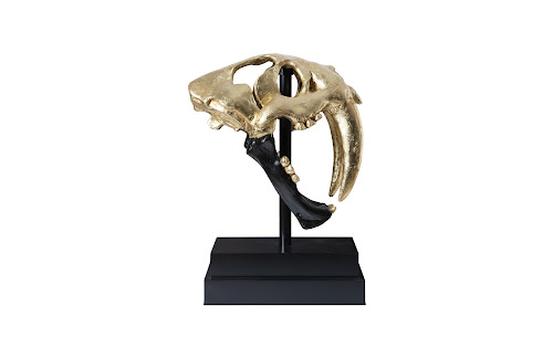 Phillips Collection Saber Tooth Tiger Skull Black Gold Leaf Accent