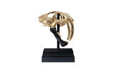 Phillips Collection Saber Tooth Tiger Skull Black Gold Leaf Accent