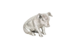 Phillips Collection Sitting Piglet Silver Leaf Tabletop