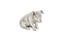 Phillips Collection Sitting Piglet Silver Leaf Tabletop