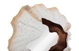 Phillips Collection Barnacle Wall Art Off White Mirror